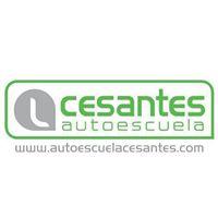 AUTOESCUELA CESANTES