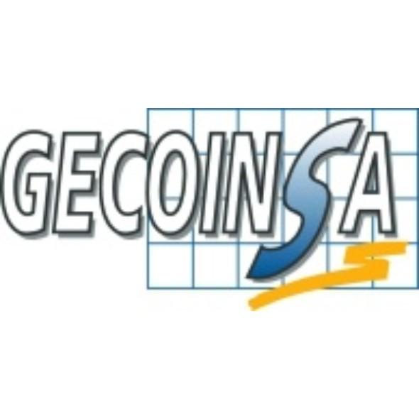 GECOINSA (GESTORA COMERCIAL INTERNACIONAL, S.A.)